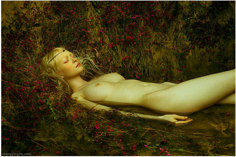 Carousel Image number 1